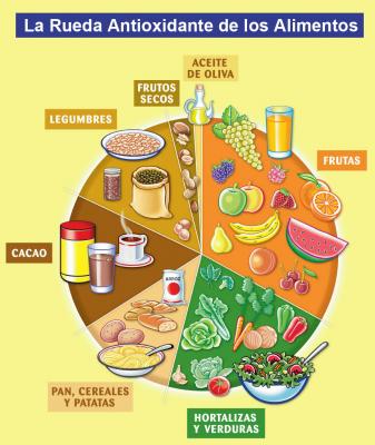 DIETA ANTIOXIDANTE dieta antioxidante: